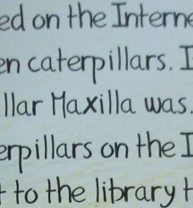 Why is the 'x' in Maxilla so  dark? Is it a sign?
